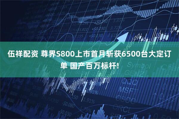 伍祥配资 尊界S800上市首月斩获6500台大定订单 国产百万标杆!