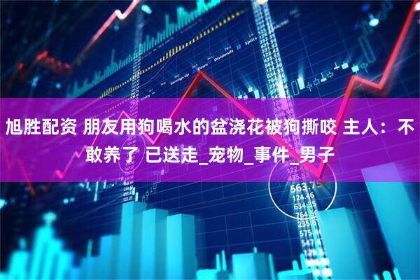 旭胜配资 朋友用狗喝水的盆浇花被狗撕咬 主人：不敢养了 已送走_宠物_事件_男子