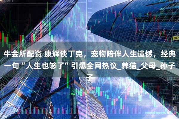 牛金所配资 康辉谈丁克，宠物陪伴人生遗憾，经典一句“人生也够了”引爆全网热议_养猫_父母_孙子