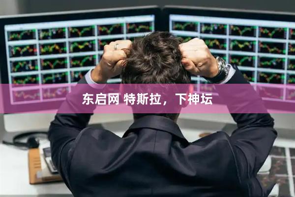 东启网 特斯拉，下神坛