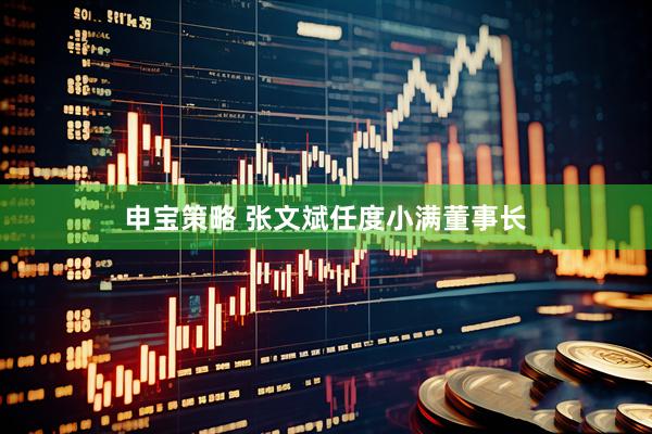申宝策略 张文斌任度小满董事长