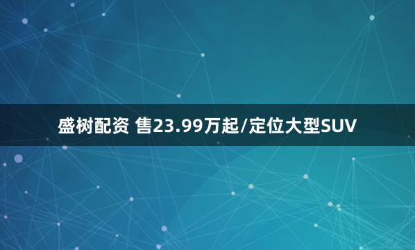 盛树配资 售23.99万起/定位大型SUV