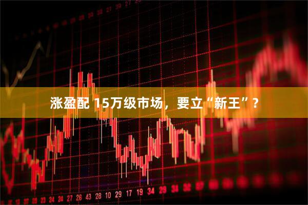 涨盈配 15万级市场，要立“新王”？