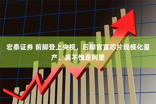 宏泰证券 前脚登上央视，后脚官宣芯片规模化量产，真不愧是阿里